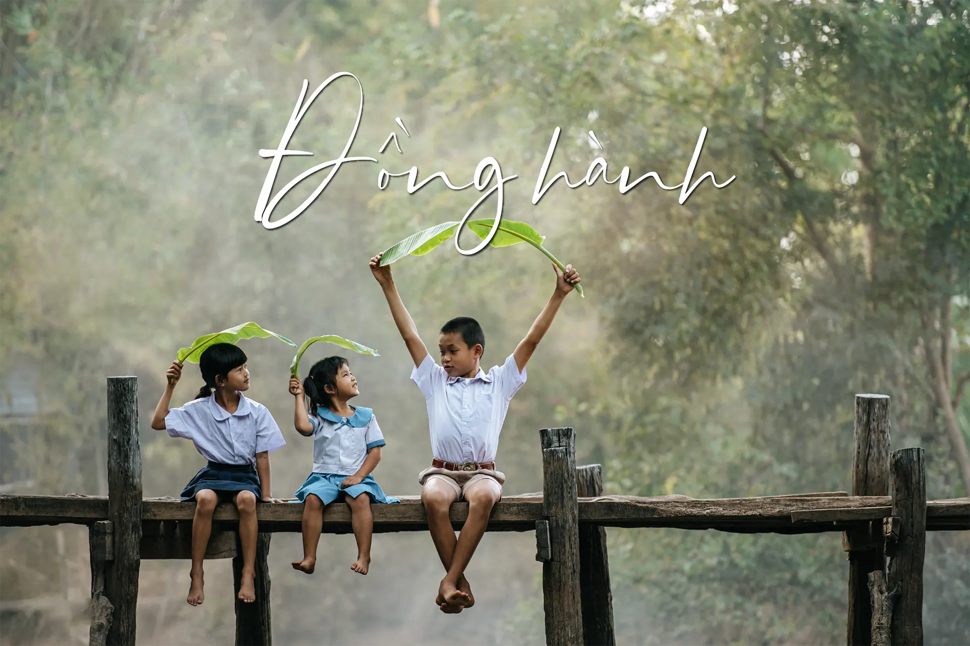 Trang chủ - Slide